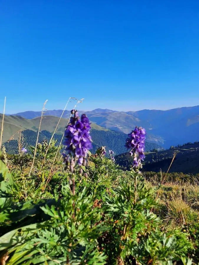 Apartamento Plein Sud Saint-Aventin 0*,